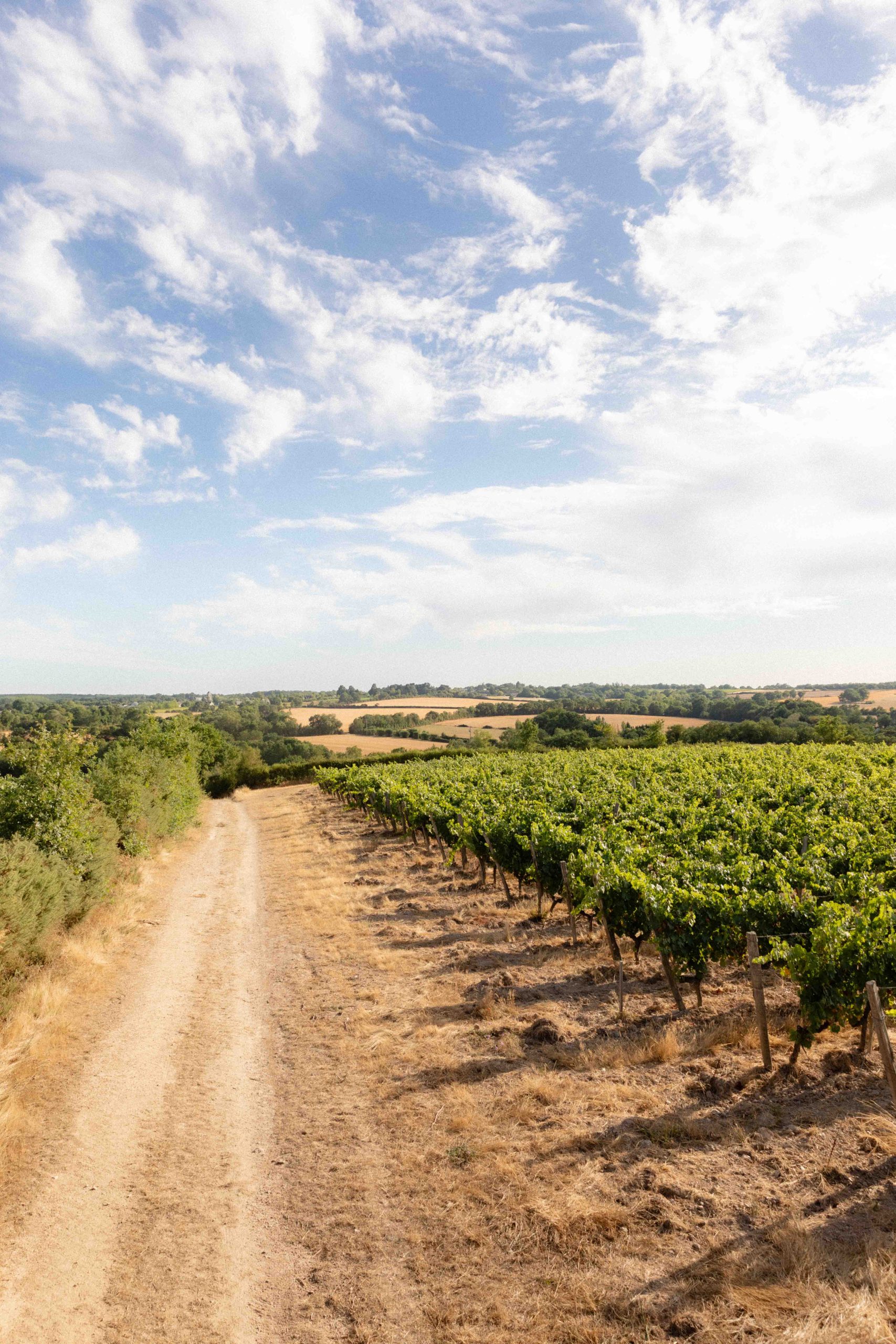 MONTGILET-LECHICBOUTEILLES-20JUILLET2026-SD-35